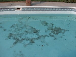 Deep End Stains