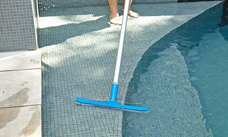 5 Best Pool Brush Reviews: Top Expert Picks in 2020