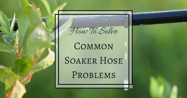 How to Solve Common Soaker Hose Problems