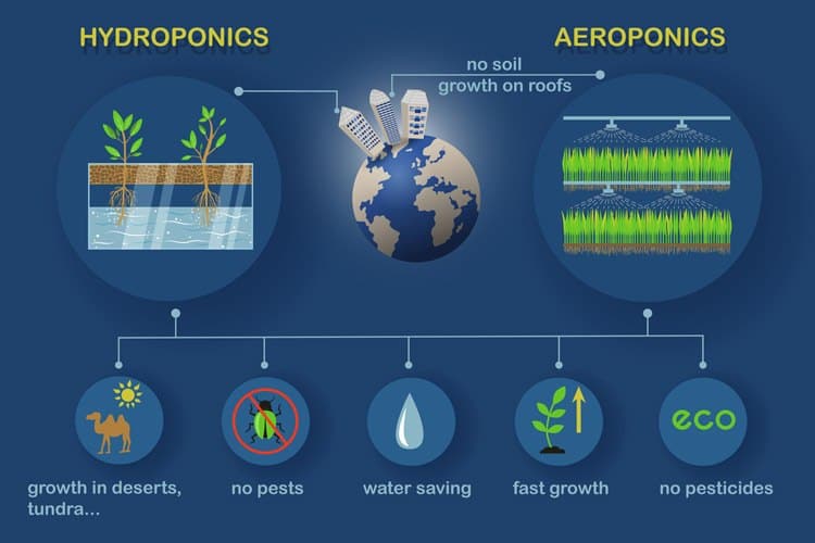 Aquaponics vs hydroponics vs aeroponics NASA Challenge Offers Prizes For Sprouting Astronaut Food Systems