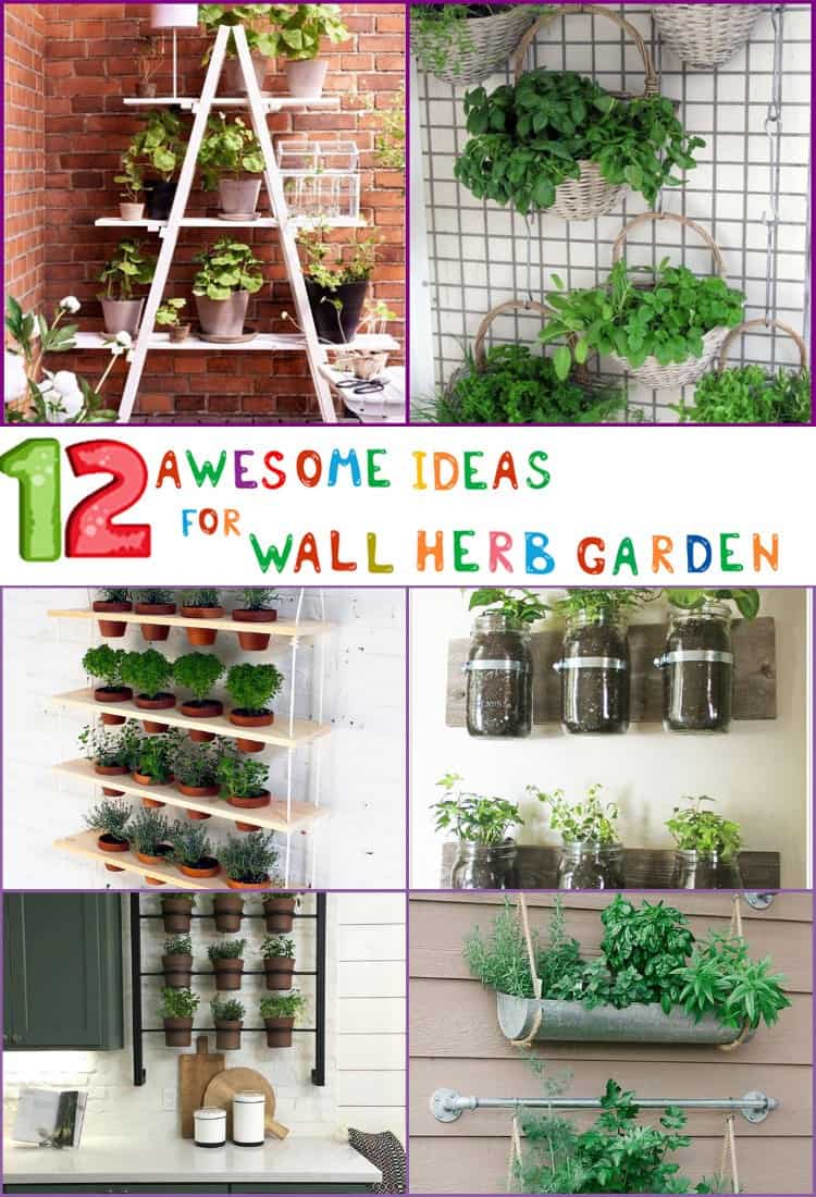 Wall herb vertical garden ideas.