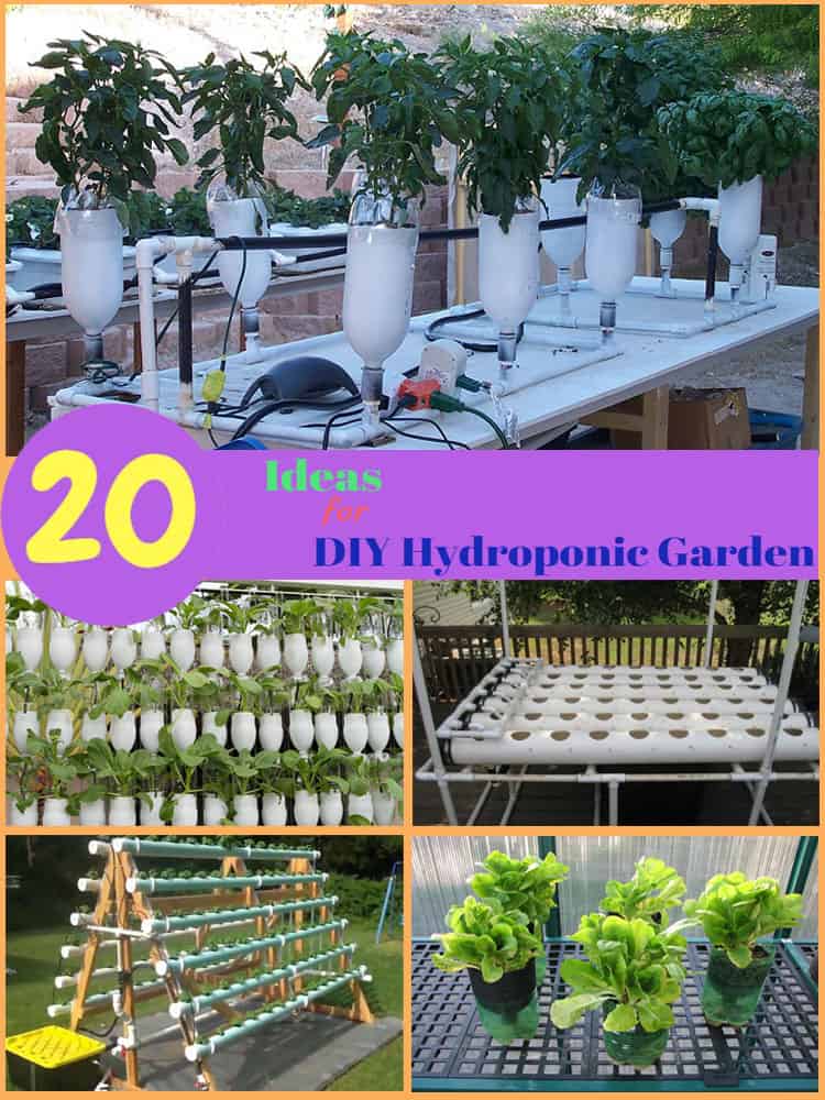 Diy hydroponic garden.