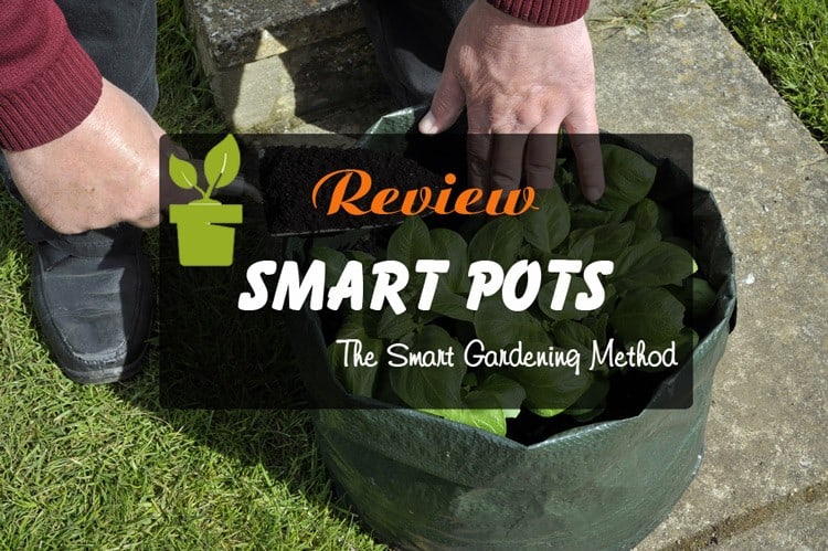 Smart pot reviews