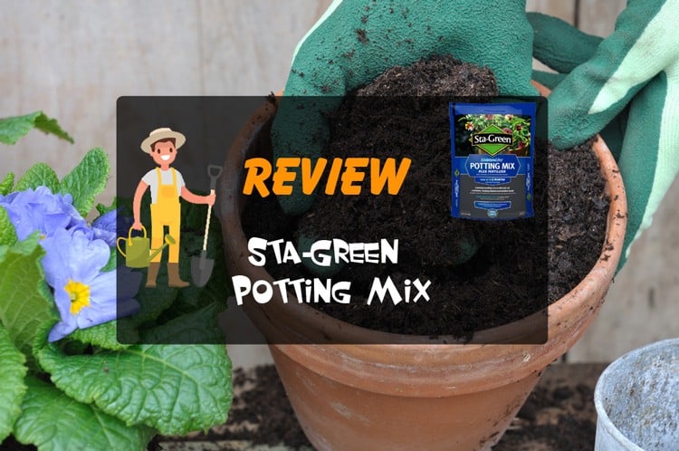 Sta-Green Potting Mix Review