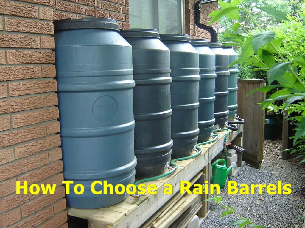 How to choose a rain barrel.