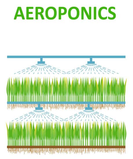 Aeroponics