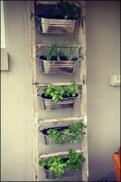 12 Awesome Ideas For Wall Herb Garden | The Rex Garden