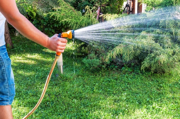 The Best Time To Water Your Garden The Big Question Solved The