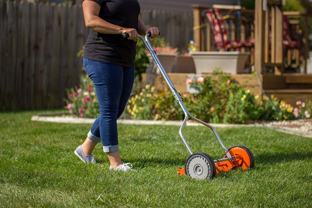 10 Best Reel Lawn Mower Reviews 2021 | The Rex Garden