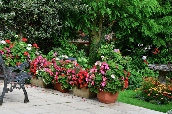 10+ Pretty Backyard Patio Ideas On A Budget | The Rex Garden