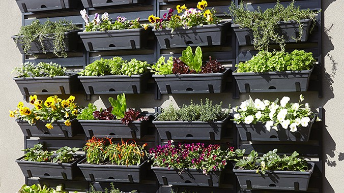 Vertical garden