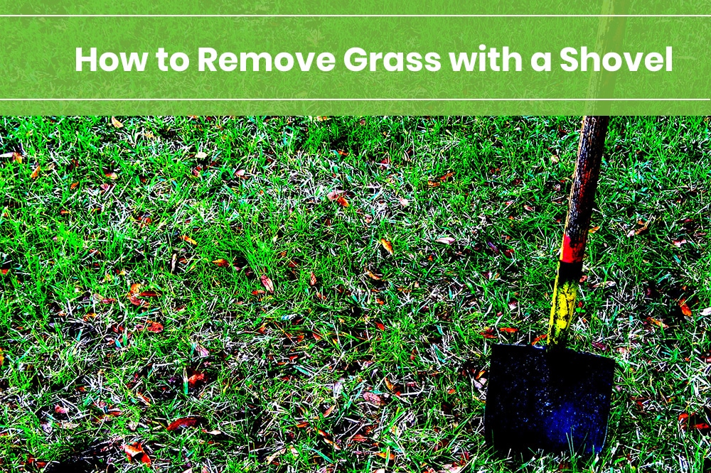 how to remove grass with a shovel