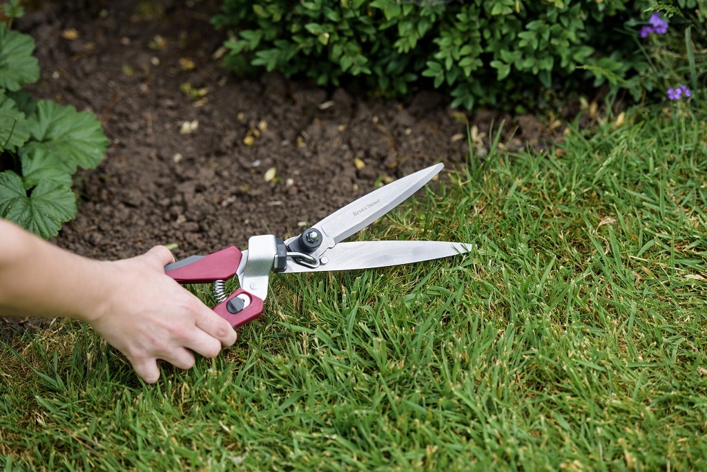 best grass clippers