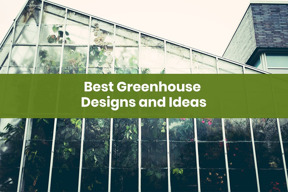 Best Greenhouse Designs and Ideas