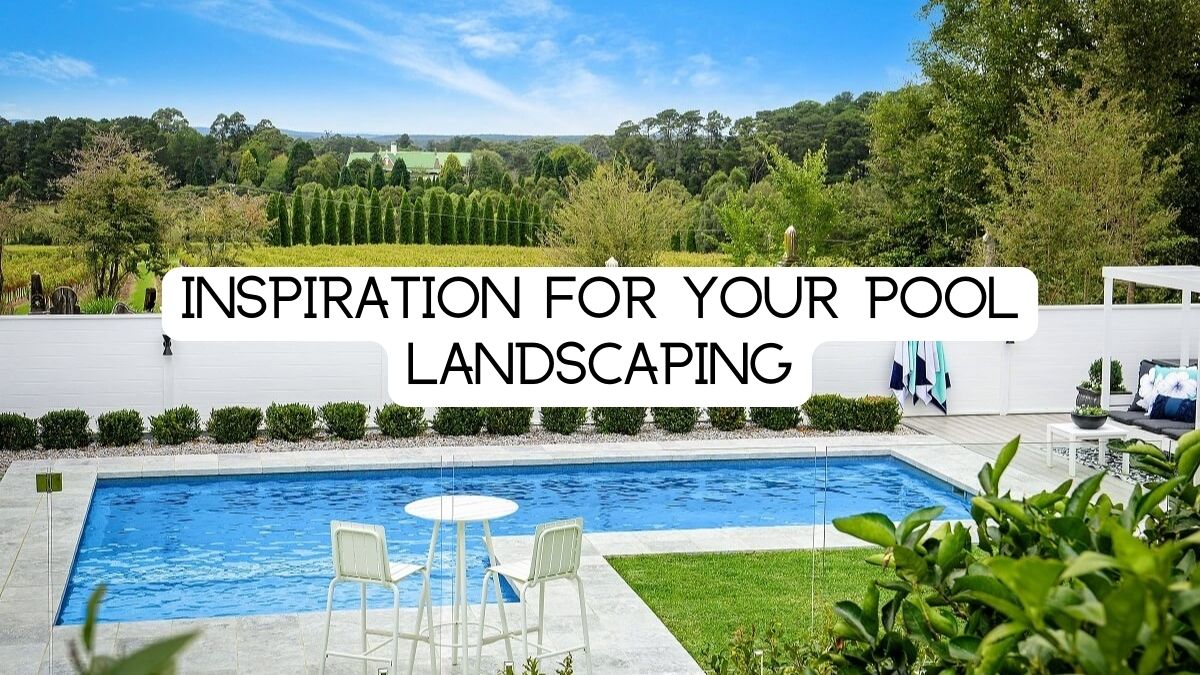 Pool lanscaping ideas.