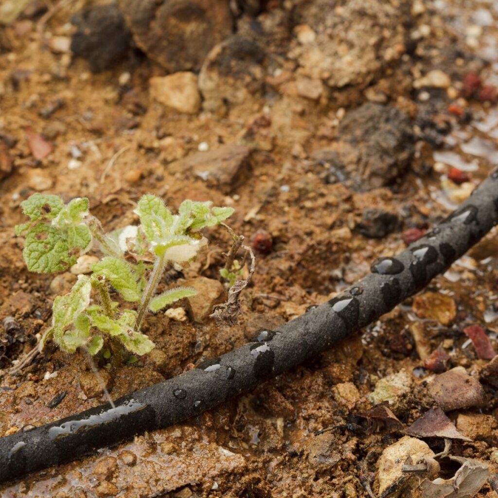 Best Soaker Hose for Your Garden: Reviews & Guide