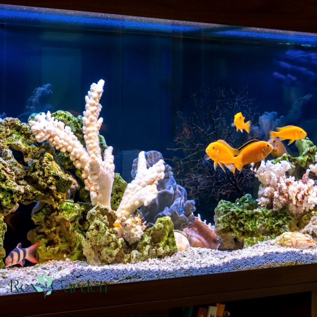 Photo inspiration: Gallery Detail: Small Aquarium Design Ideas