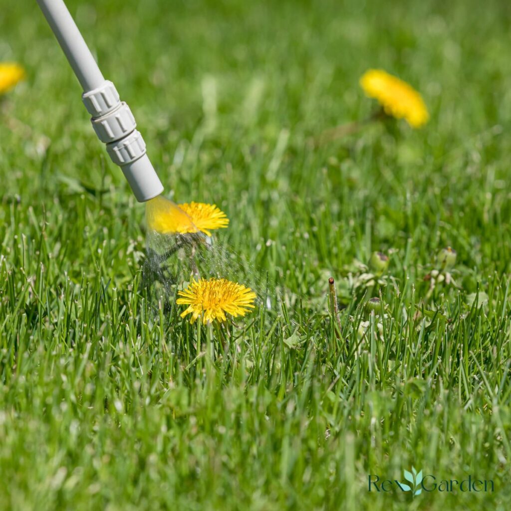 Best Weed Killers That Won't Kill Your Grass | The Rex Garden