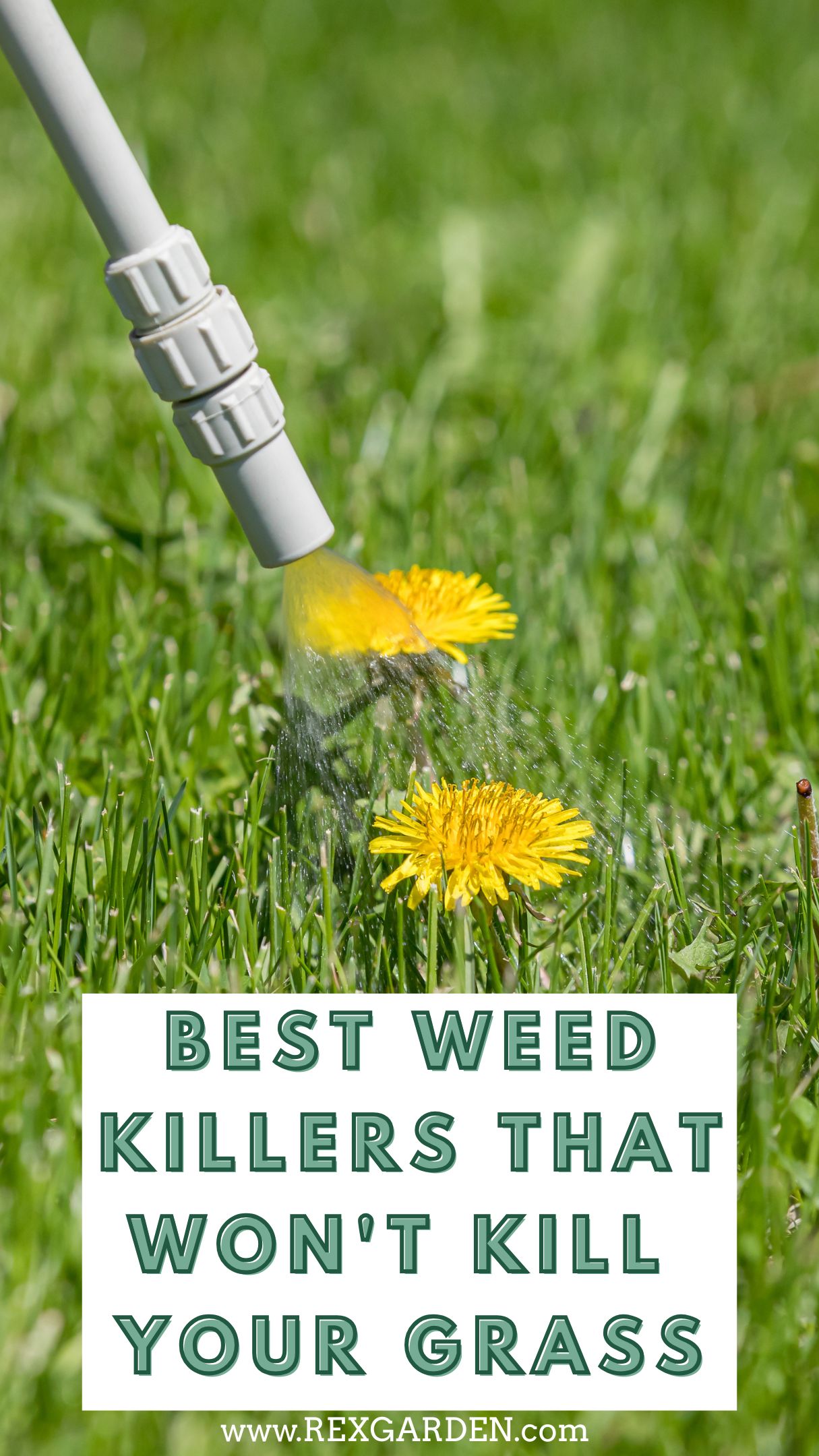 Best Weed Killers That Won't Kill Your Grass | The Rex Garden