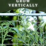 5 High-Yield Vegetables to Grow Vertically pin