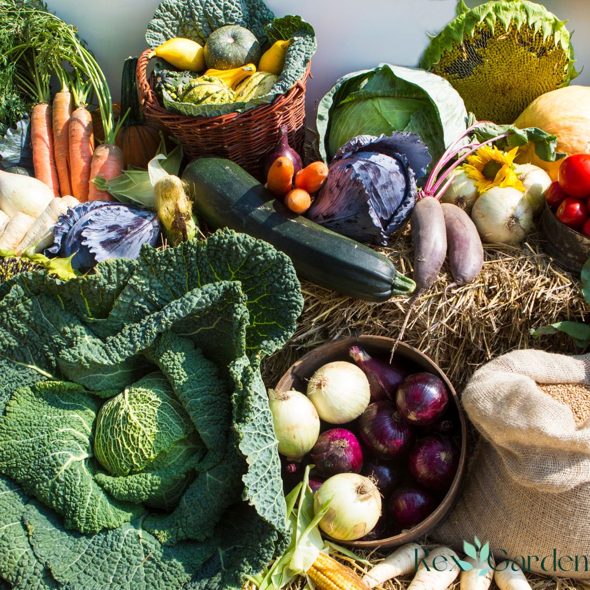 Perennial Crops 
