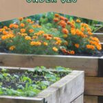 deep garden beds