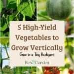 5 High-Yield Vegetables to Grow Vertically pin