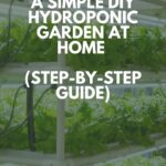 How to Build a Simple DIY Hydroponic Garden at Home pin