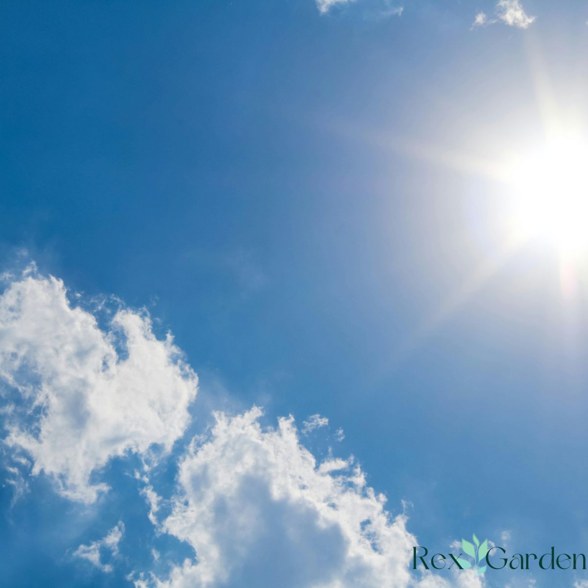 Sun in sky.